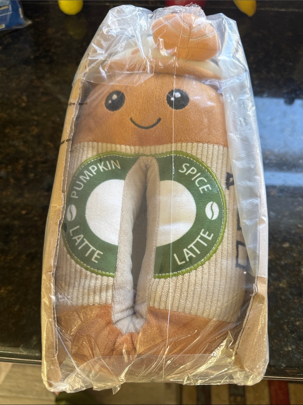 Slippers  Pumpkin 🎃 Spice Latte Plush  NIB